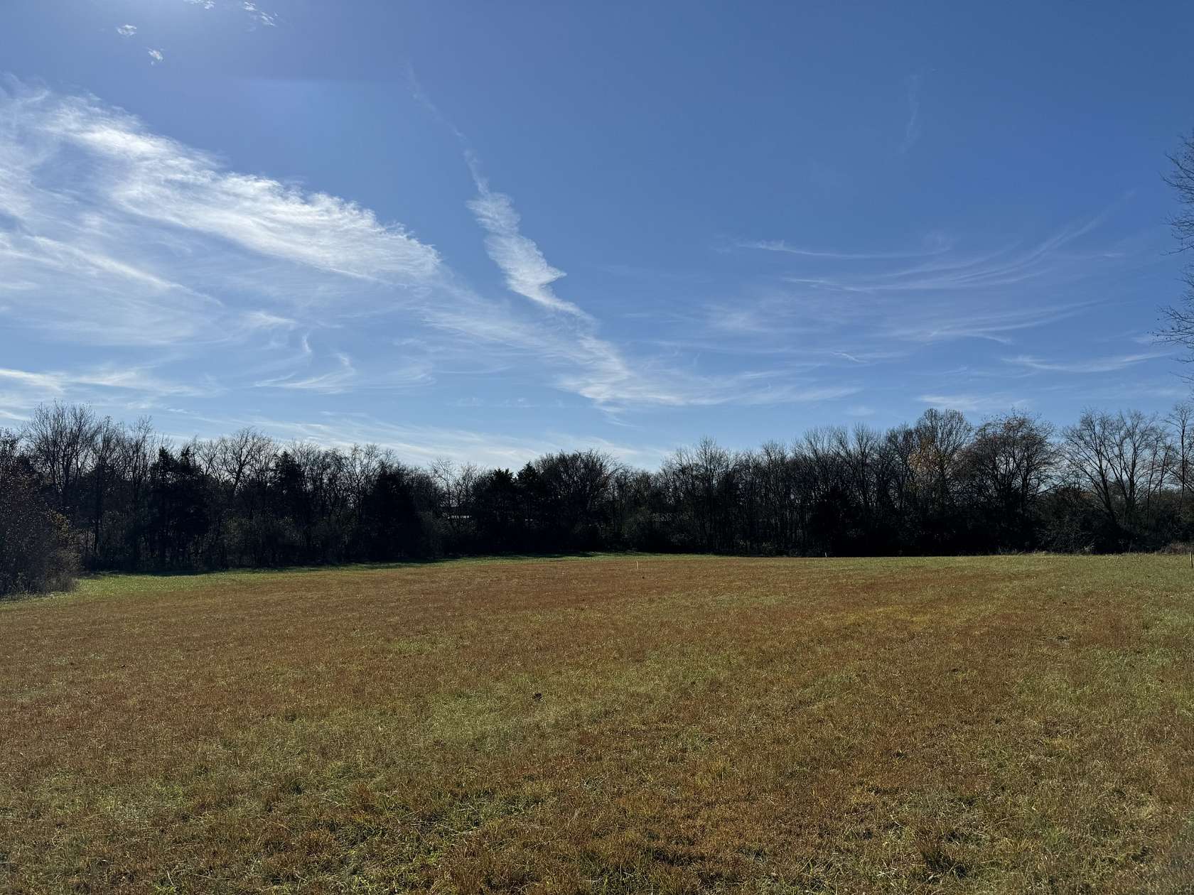 24 Acres of Land for Auction in Lascassas, Tennessee