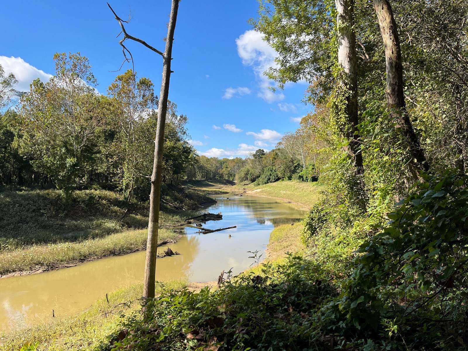 100 Acres of Recreational Land for Sale in Woodville, Mississippi