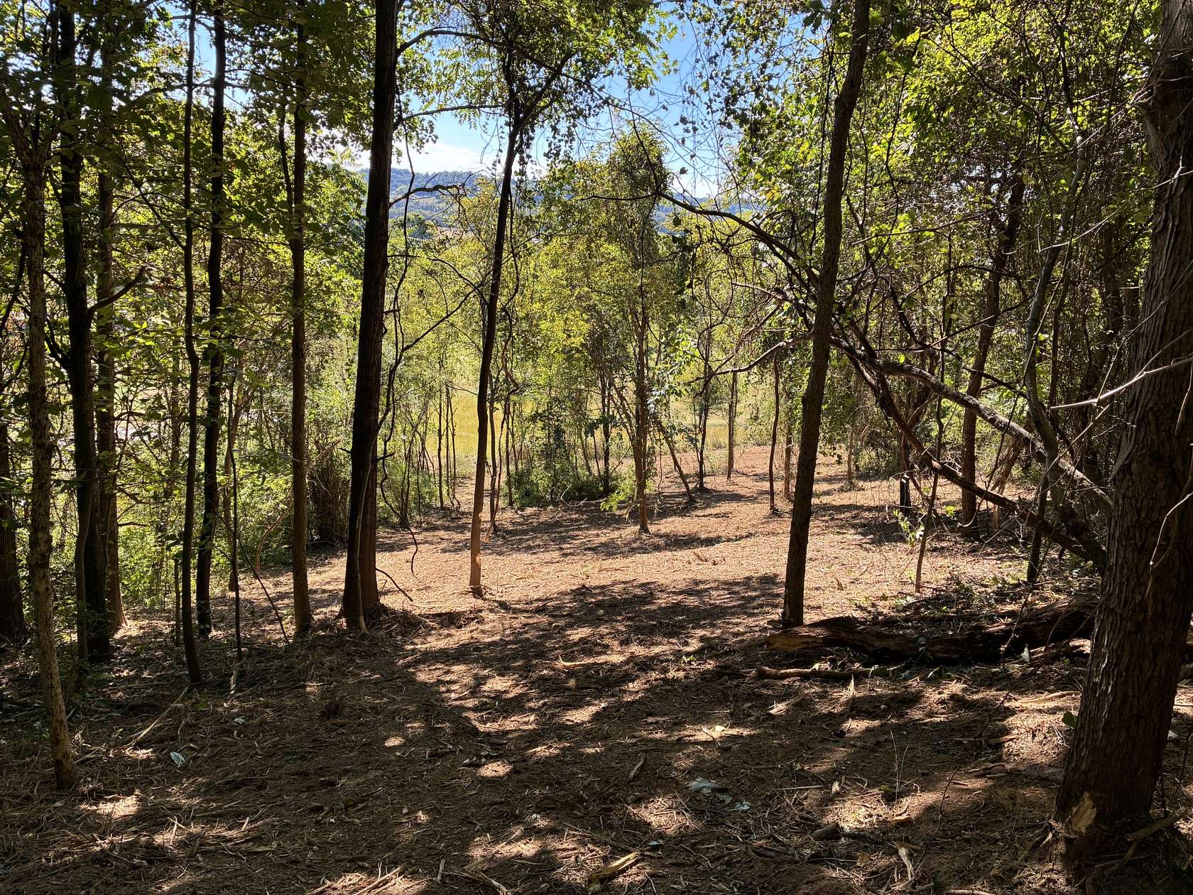 5.7 Acres of Residential Land for Sale in Thompson's Station, Tennessee