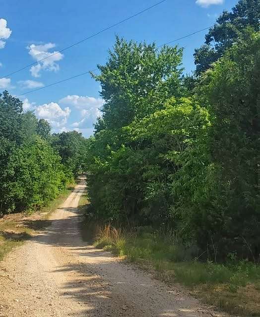 0.67 Acres of Residential Land for Sale in Sugar Tree, Tennessee