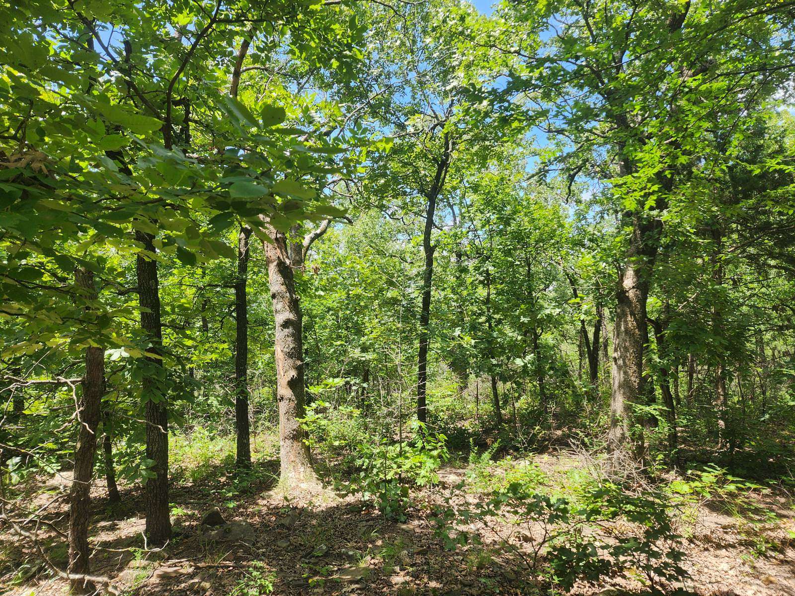 9.9 Acres of Residential Land for Sale in Talihina, Oklahoma