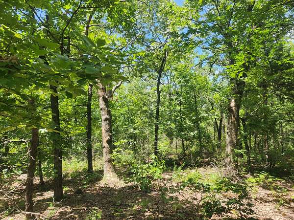 9.9 Acres of Residential Land for Sale in Talihina, Oklahoma