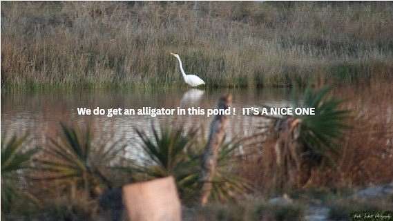 5 Acres of Commercial Land for Sale in Rockport, Texas