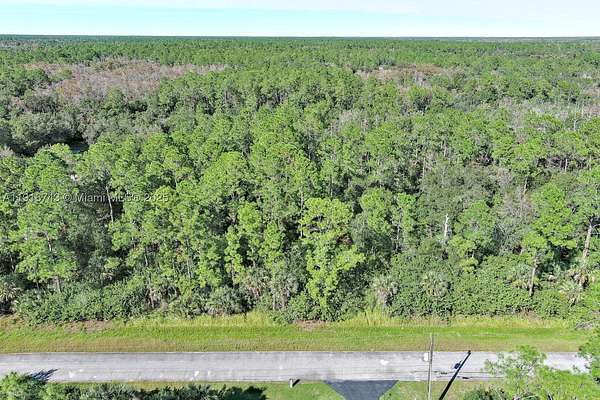 1.14 Acres of Residential Land for Sale in Naples, Florida