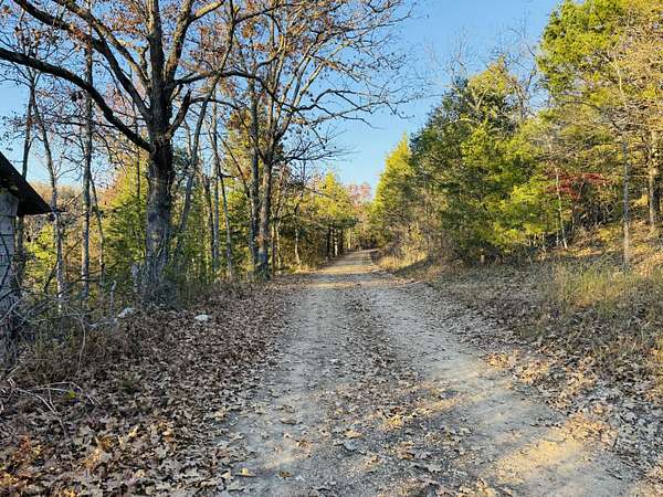 28 Acres of Recreational & Residential Land for Sale in Thornfield, Missouri