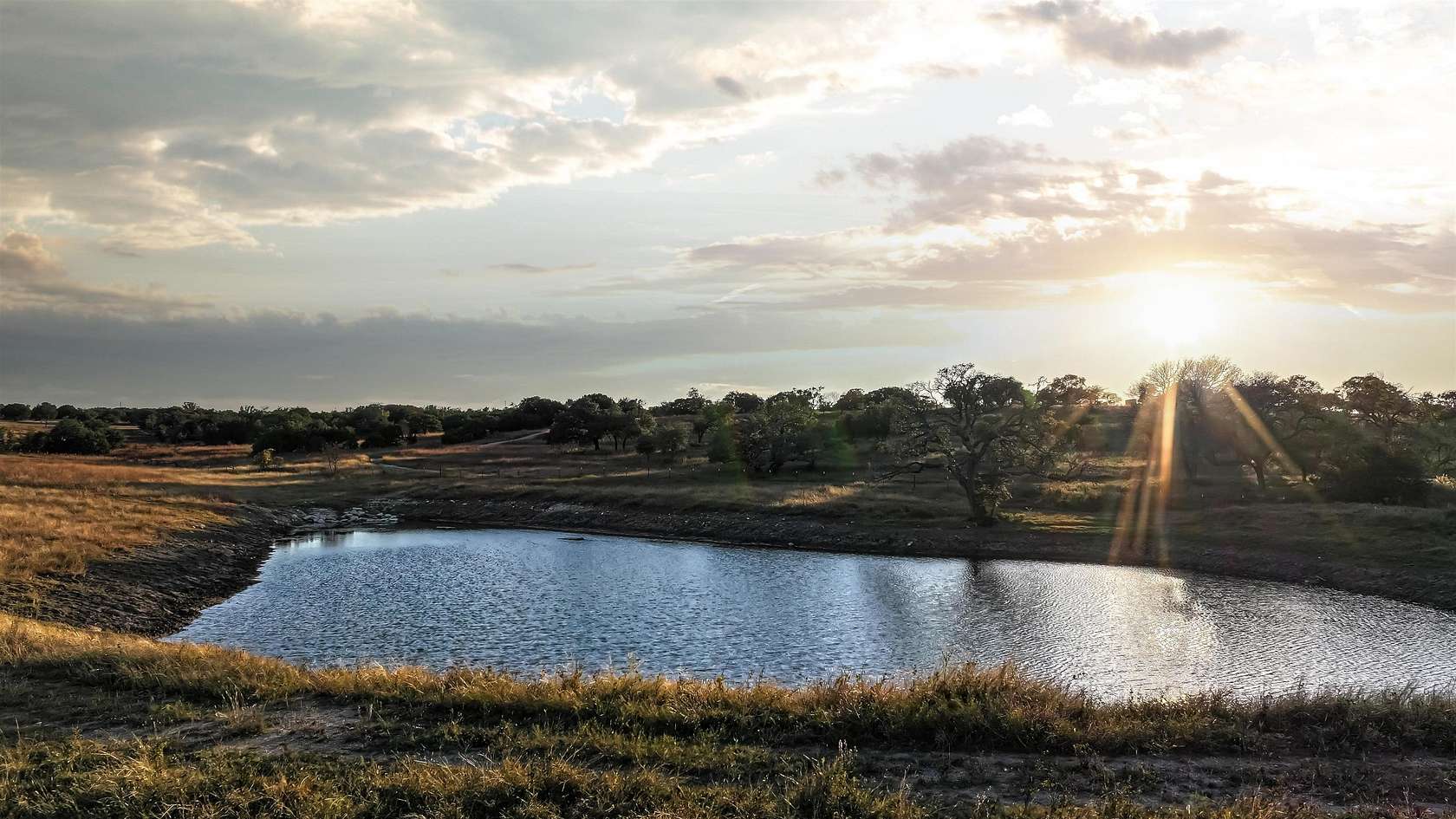 27.9 Acres of Land for Sale in Briggs, Texas