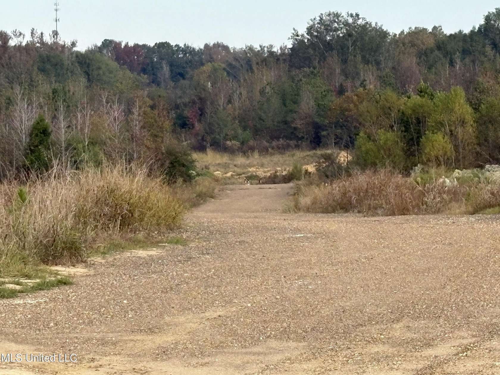 185 Acres of Mixed-Use Land for Sale in Jackson, Mississippi