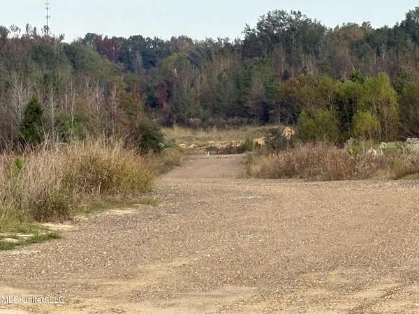 185 Acres of Mixed-Use Land for Sale in Jackson, Mississippi