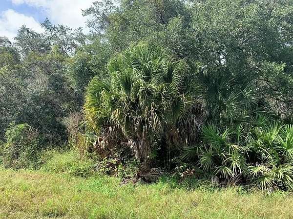 0.23 Acres of Residential Land for Sale in Port Charlotte, Florida