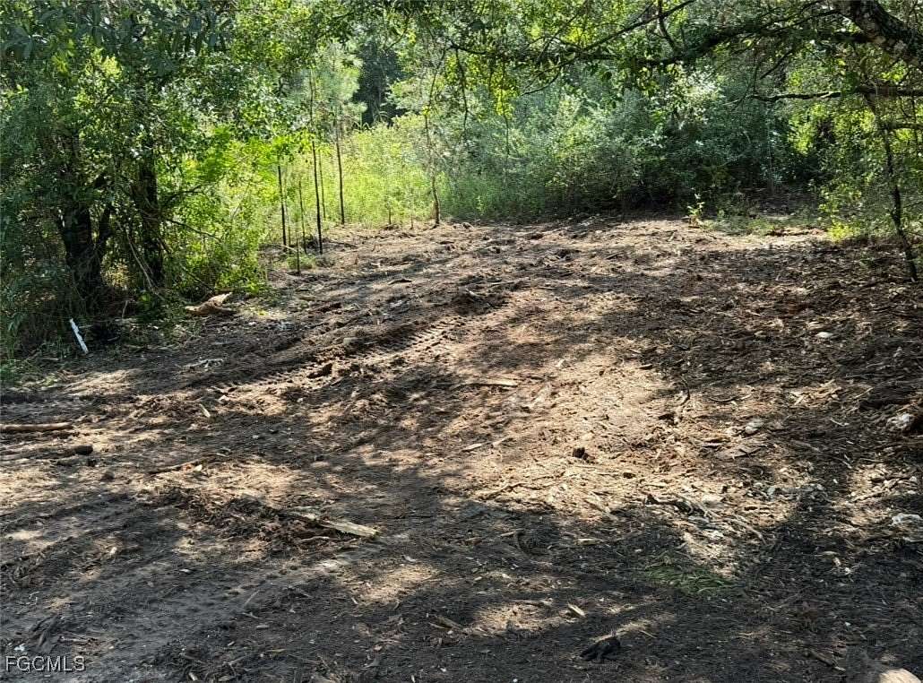 0.5 Acres of Land for Sale in Lehigh Acres, Florida