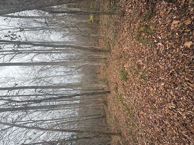 26.7 Acres of Land for Sale in Farmville, Virginia