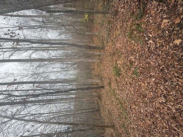 26.7 Acres of Land for Sale in Farmville, Virginia