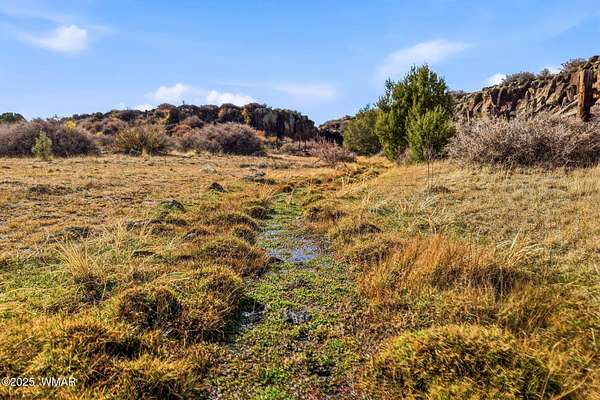 160 Acres of Recreational Land for Sale in Greer, Arizona