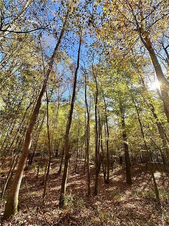 104 Acres of Recreational Land for Sale in Eufaula, Alabama