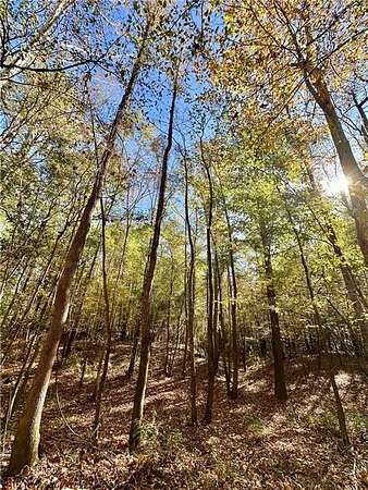104 Acres of Recreational Land for Sale in Eufaula, Alabama