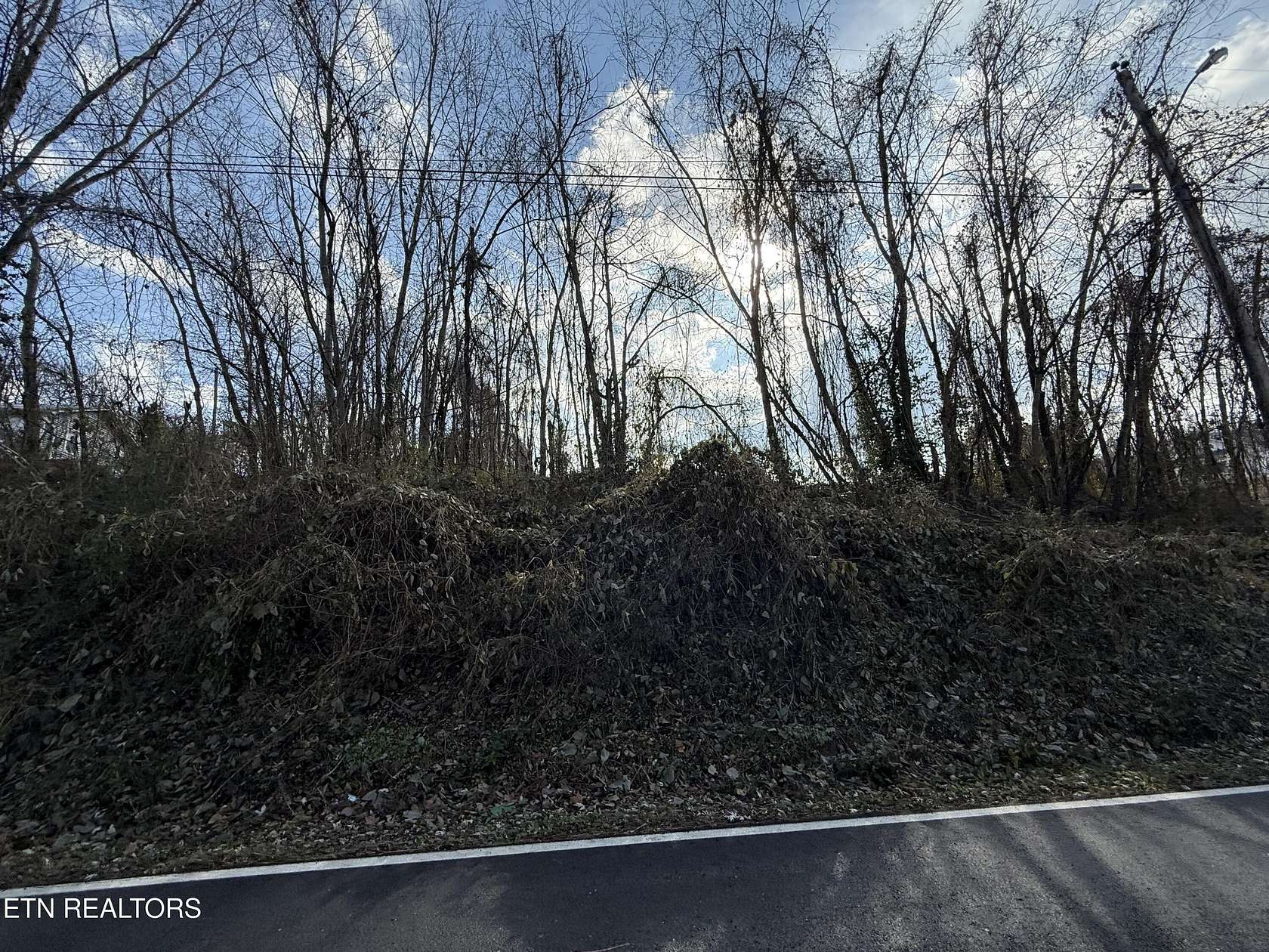 0.42 Acres of Residential Land for Sale in Jacksboro, Tennessee