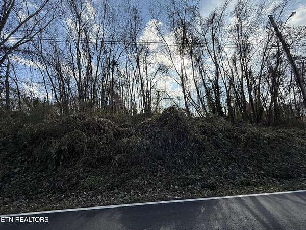 0.42 Acres of Residential Land for Sale in Jacksboro, Tennessee