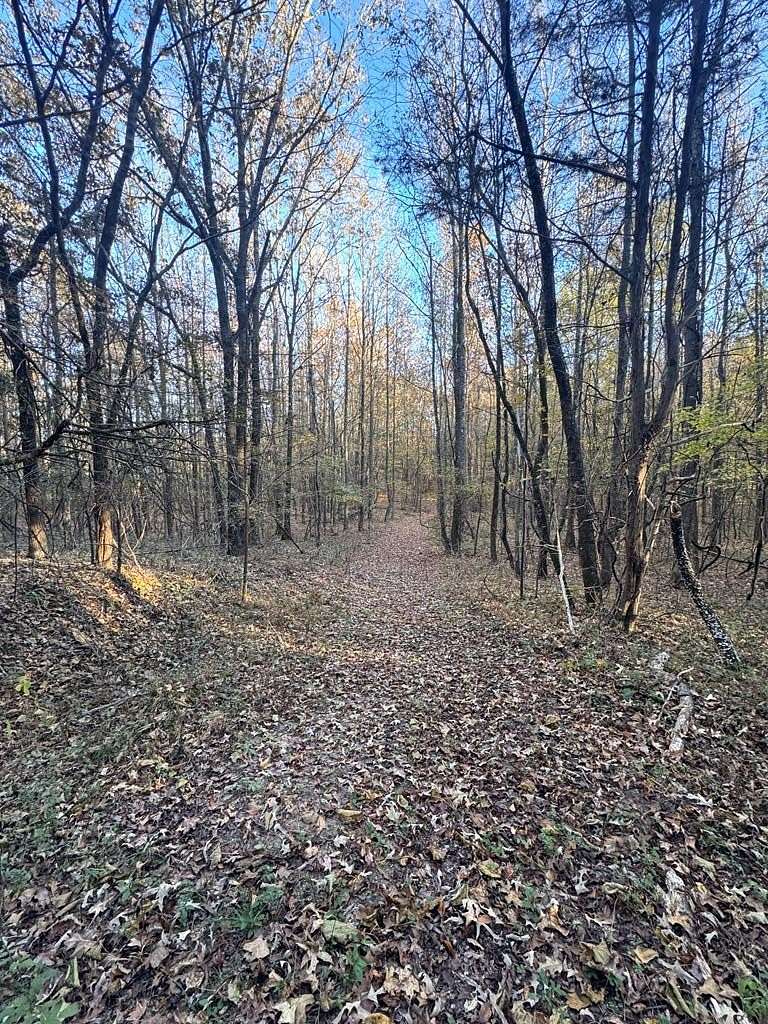 30 Acres of Recreational & Residential Land for Sale in Oxford, Mississippi