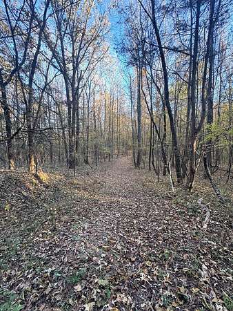 30 Acres of Recreational & Residential Land for Sale in Oxford, Mississippi
