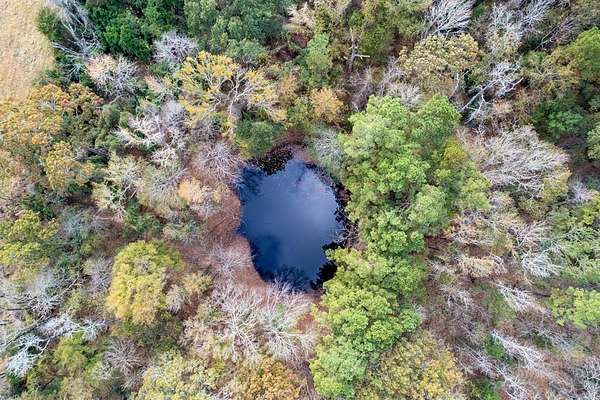 18.2 Acres of Recreational Land with Home for Sale in Elkhart, Texas