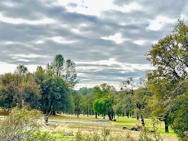 20.7 Acres of Recreational Land for Sale in Angels Camp, California