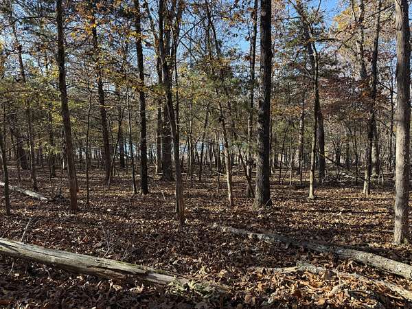 0.33 Acres of Residential Land for Sale in Theodosia, Missouri