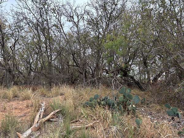 1.29 Acres of Commercial Land for Sale in Loraine, Texas