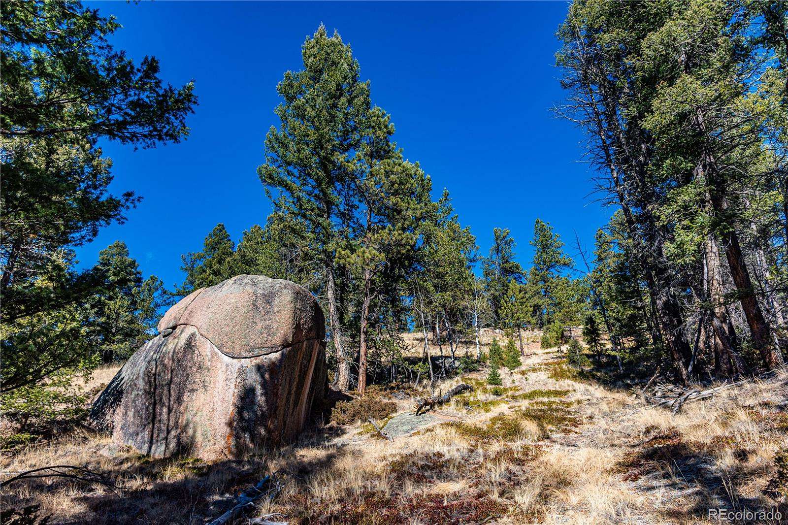 12.5 Acres of Recreational & Residential Land for Sale in Florissant, Colorado