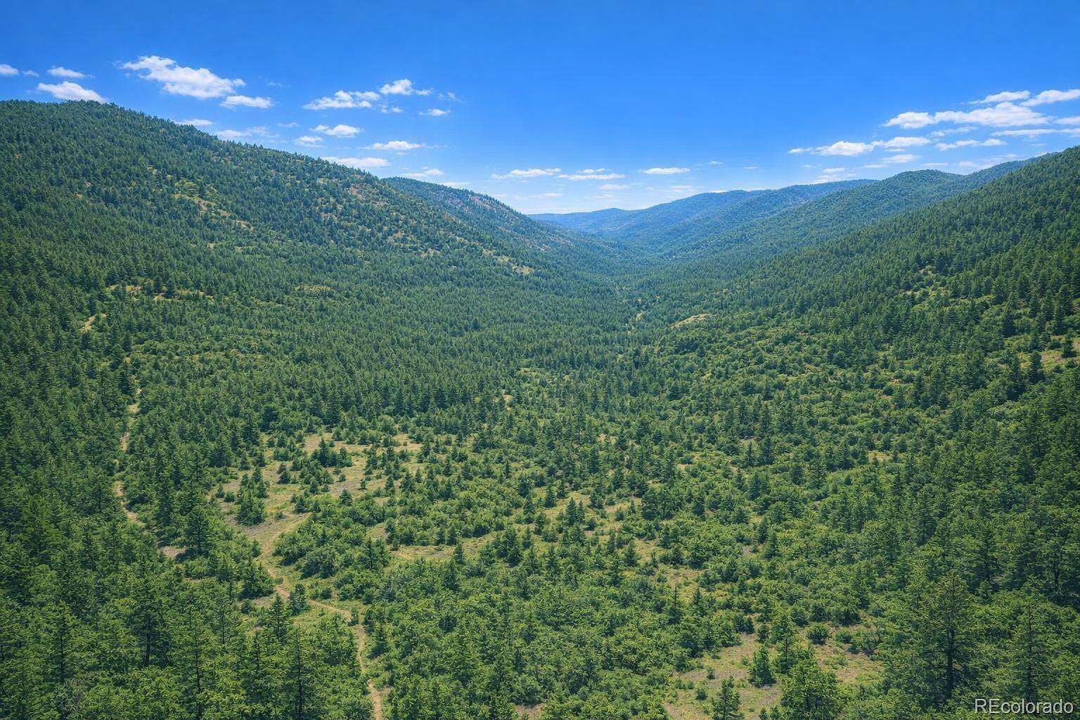 12.5 Acres of Recreational & Residential Land for Sale in Florissant, Colorado