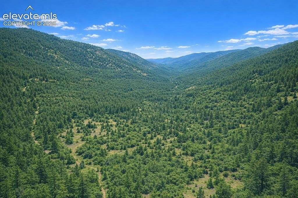 12.5 Acres of Recreational Land for Sale in Florissant, Colorado