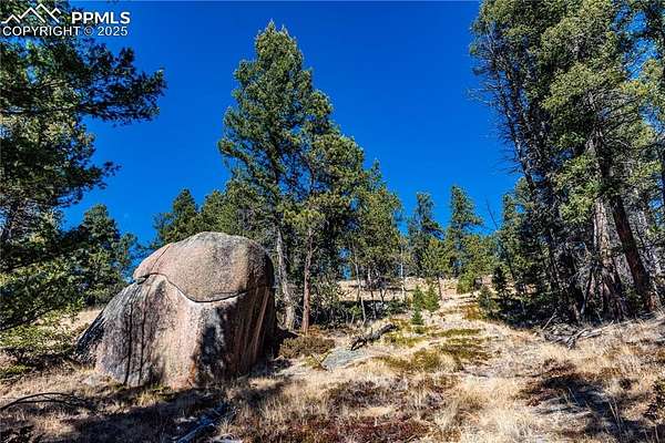 12.5 Acres of Recreational Land for Sale in Florissant, Colorado