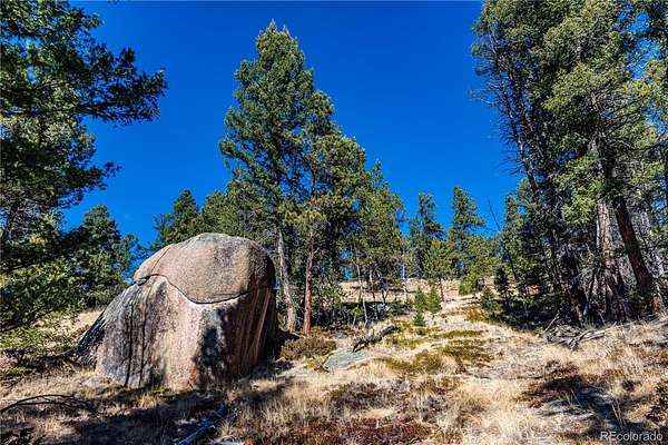 12.5 Acres of Recreational & Residential Land for Sale in Florissant, Colorado