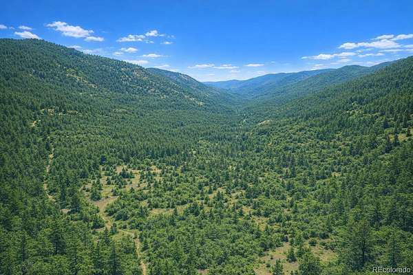 12.5 Acres of Recreational & Residential Land for Sale in Florissant, Colorado