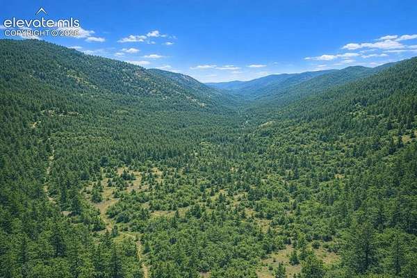12.5 Acres of Recreational Land for Sale in Florissant, Colorado