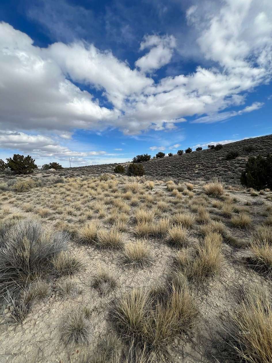 2 Acres of Land for Sale in Spring Creek, Nevada