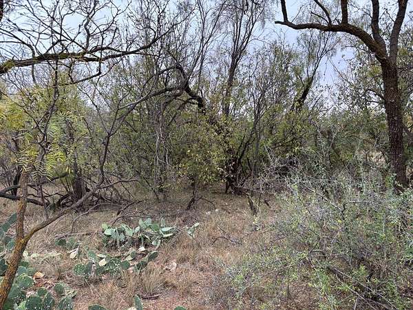 0.48 Acres of Commercial Land for Sale in Loraine, Texas