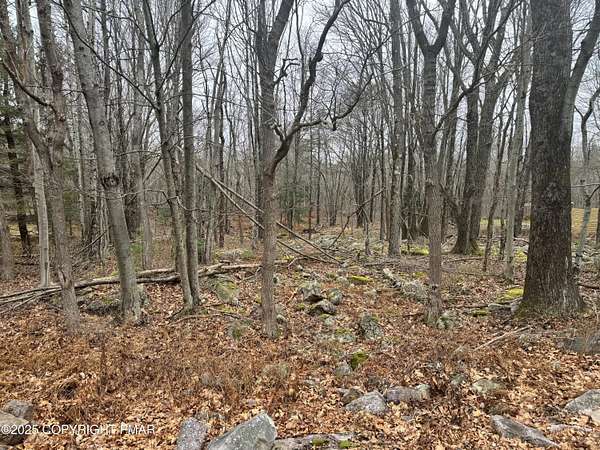 0.45 Acres of Residential Land for Sale in Blakeslee, Pennsylvania