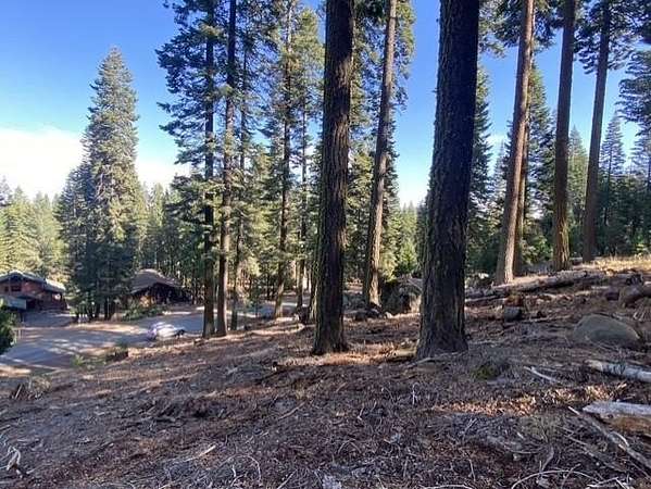 1 Acre of Residential Land for Sale in Chester, California