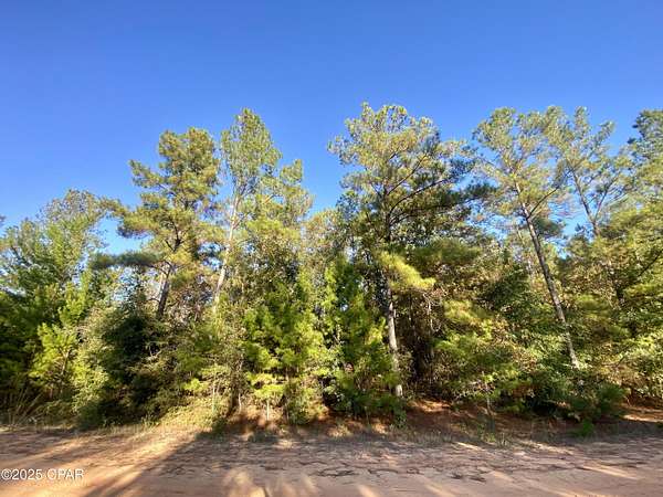 1.14 Acres of Residential Land for Sale in Alford, Florida