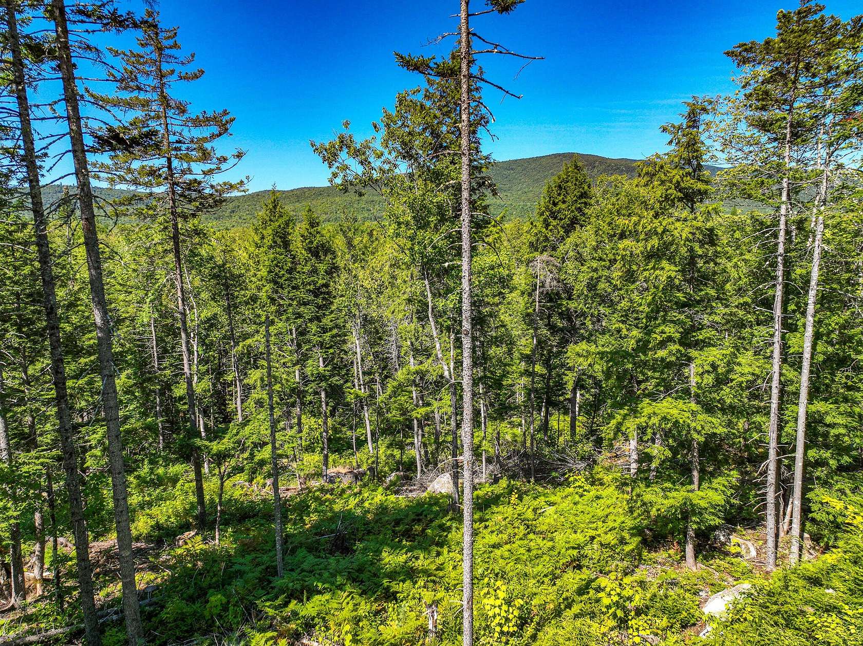 10 Acres of Recreational Land for Sale in Andover, Maine