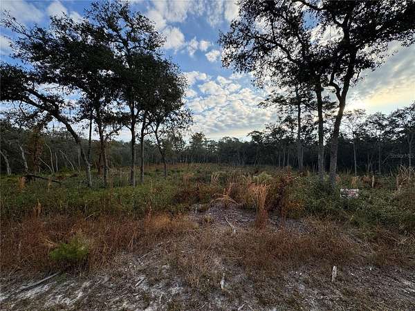 1.25 Acres of Residential Land for Sale in Webster, Florida