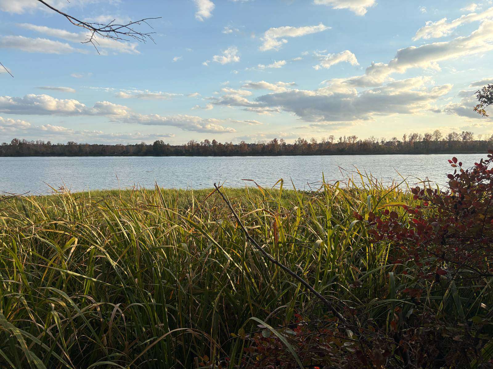 2 Acres of Residential Land for Sale in Alberta, Alabama