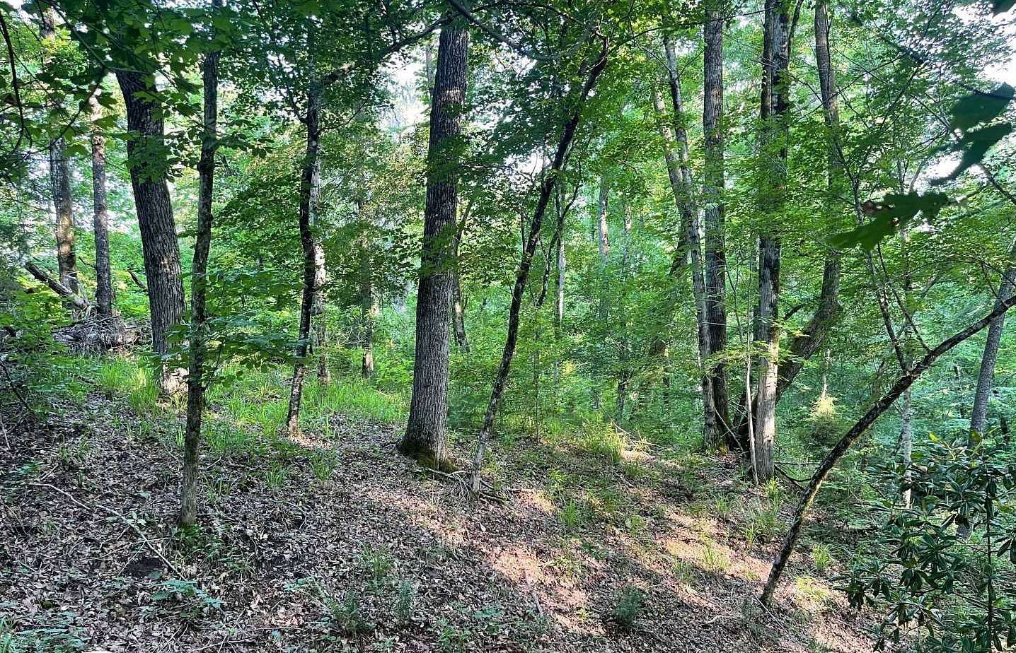 2.8 Acres of Residential Land for Sale in Alberta, Alabama