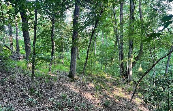 2.8 Acres of Residential Land for Sale in Alberta, Alabama