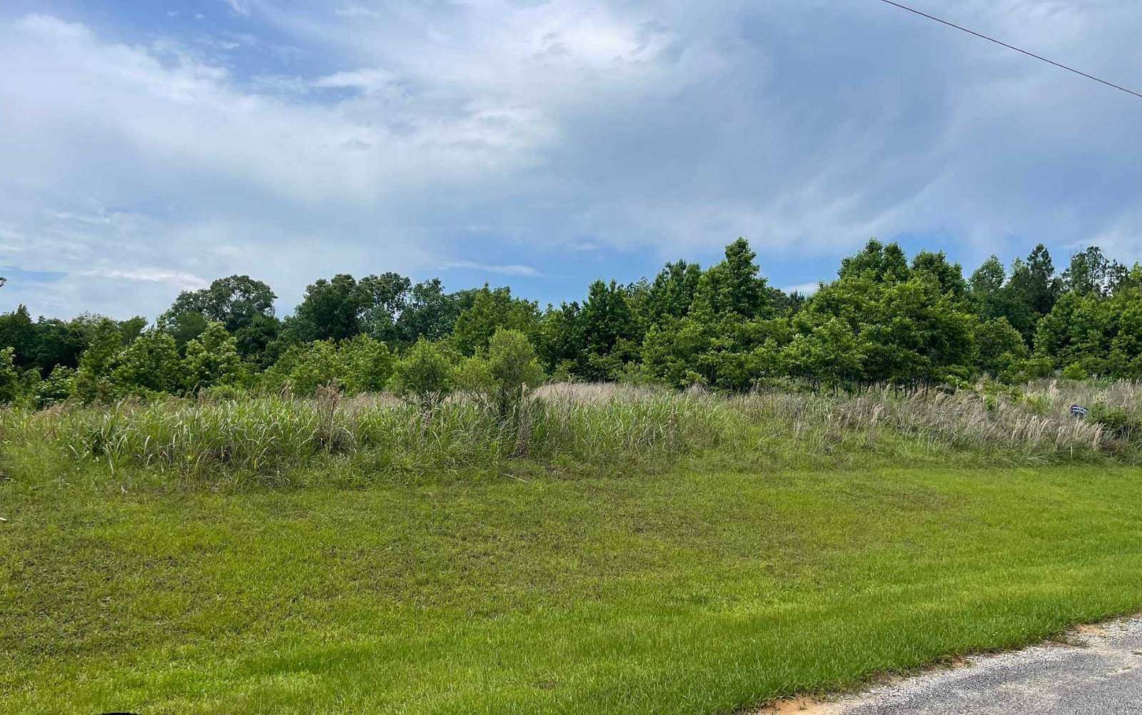 3 Acres of Residential Land for Sale in Alberta, Alabama