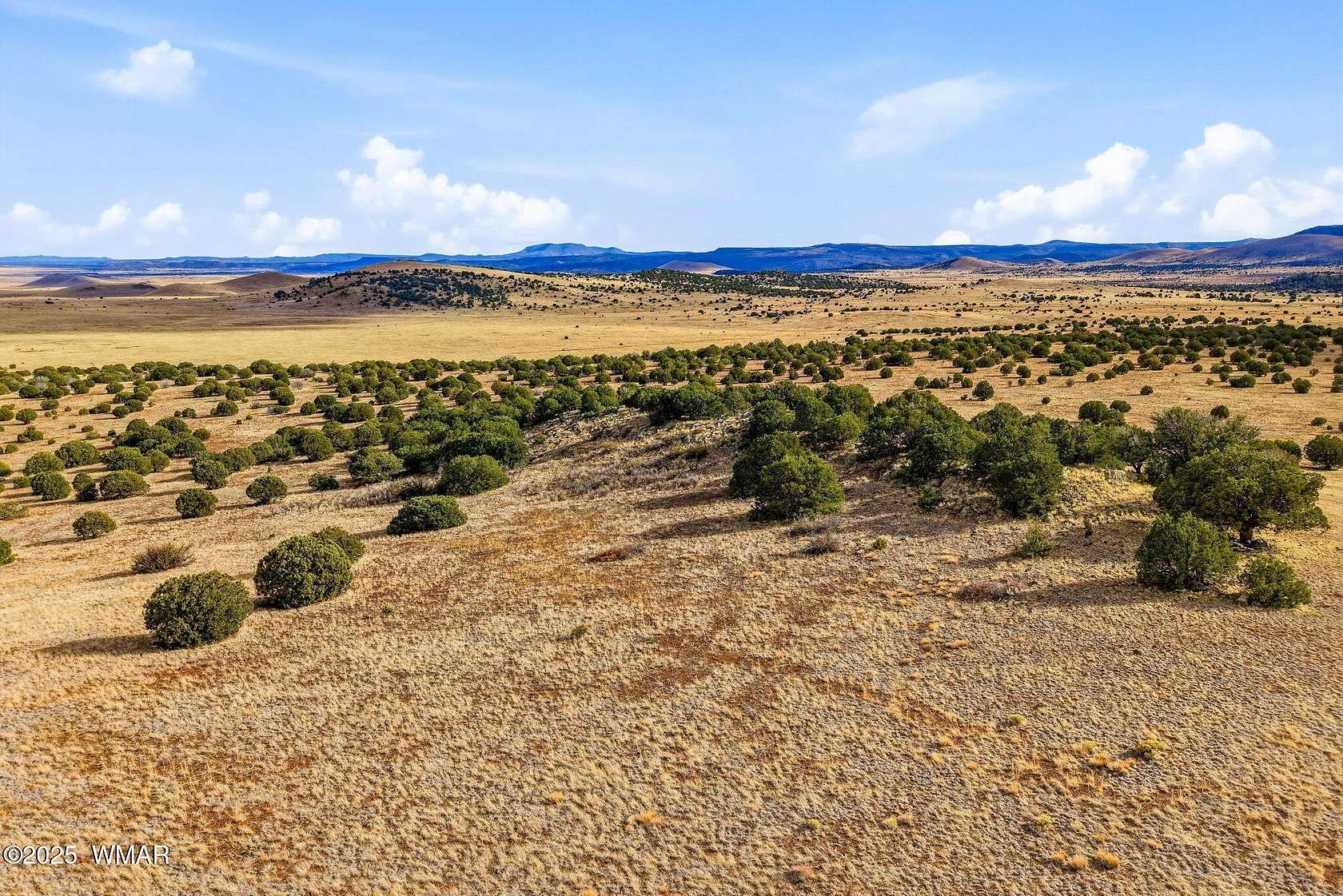 320 Acres of Land for Sale in Greer, Arizona