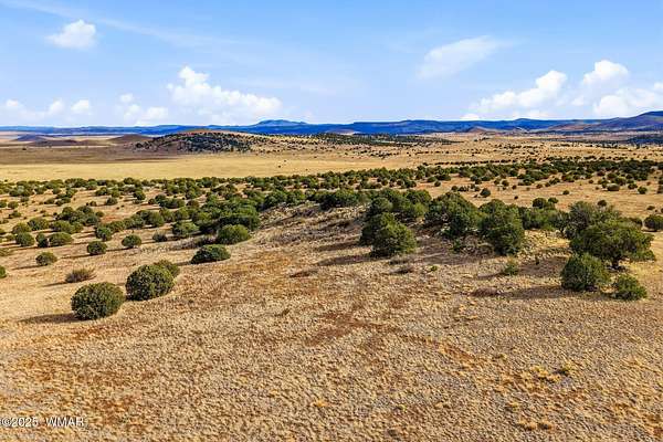 320 Acres of Land for Sale in Greer, Arizona