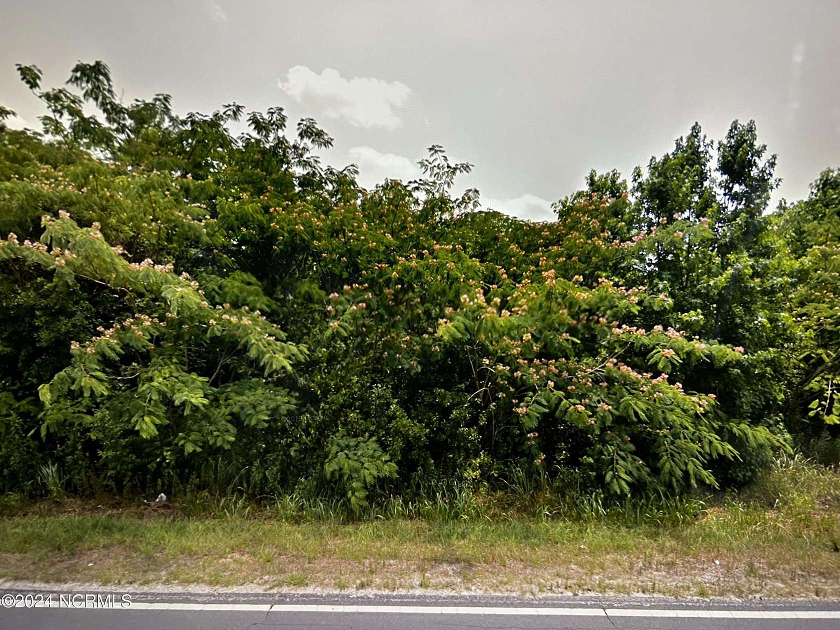 12.1 Acres of Recreational Land for Sale in Rowland, North Carolina