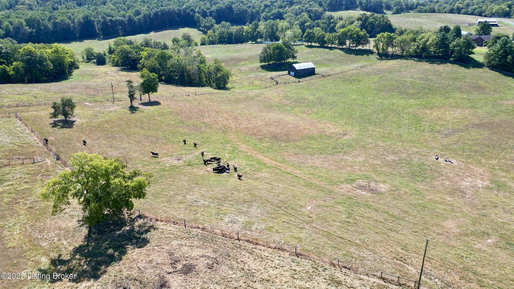 50 Acres of Land for Sale in Columbia, Kentucky