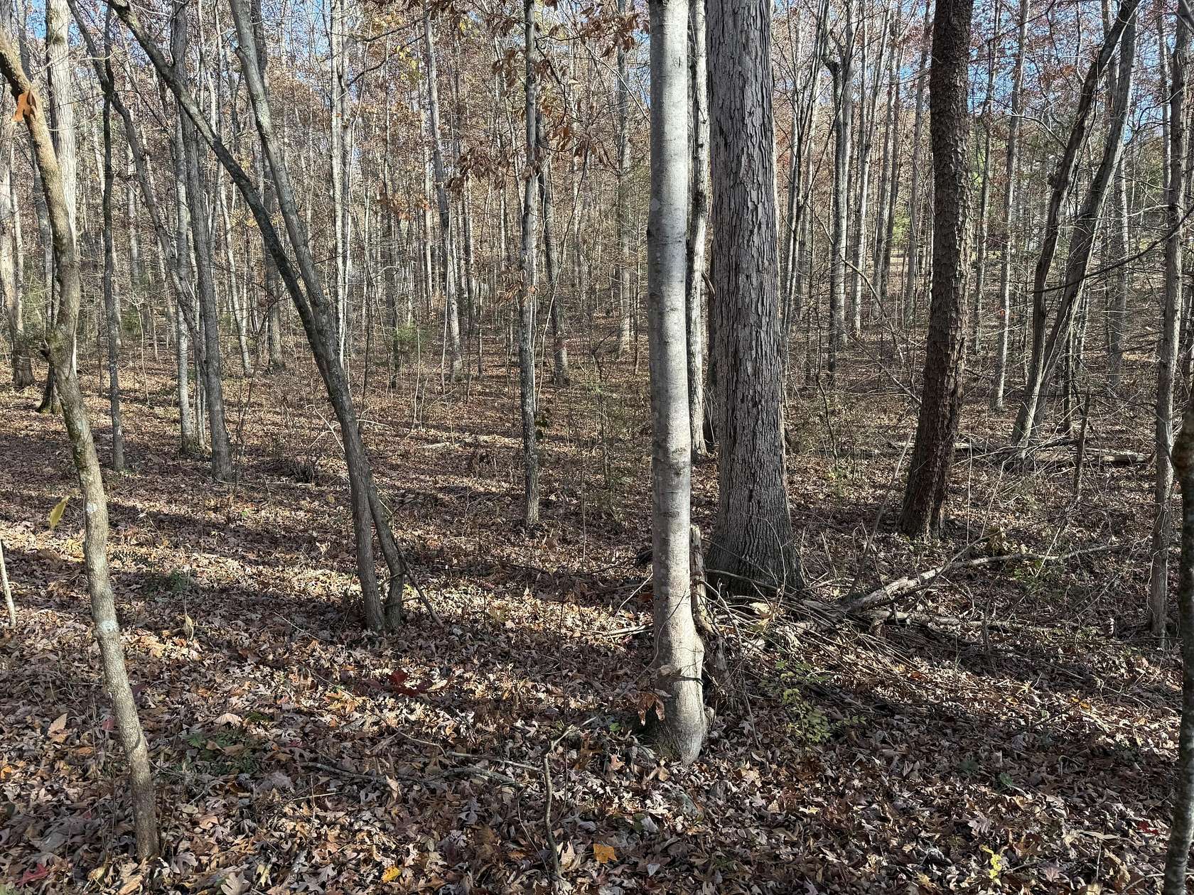 0.57 Acres of Residential Land for Sale in Newport, Tennessee